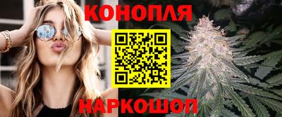 Альфа ПВП Чебоксары