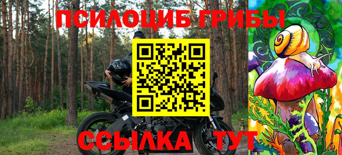 Бердск  Псилоцибиновые грибы MAGIC MUSHROOMS  Вход с VPN 